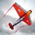 TheToonPlanet-Portfolio-COSTCO-kites-11 Costco kites design