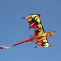 TheToonPlanet-Portfolio-COSTCO-kites-12 Costco kites design