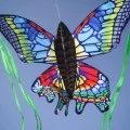 TheToonPlanet-Portfolio-COSTCO-kites-15 Costco kites design