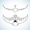 TheToonPlanet-Portfolio-FlyingToys-02 Eolo Flying Toys design