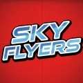 TheToonPlanet-Portfolio-Packaging-SkyFlyers-DollarGeneral-08 Sky flyers Dollar general kites design
