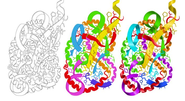 Lung designed with proteins illustration Lung designed with proteins illustration