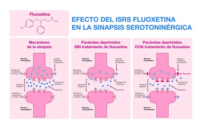 Medicine and health synapsis infographic design Medicine and health synapsis infographic design