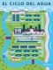 Vector infographic illustration for water cycle